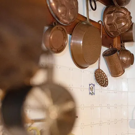 Pace E Relax, Wonderful Villa, Versilia Sea View 度假居