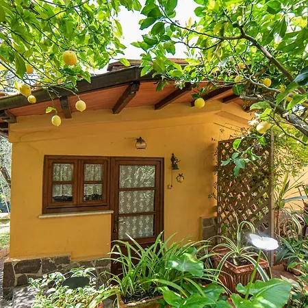 度假居 Pace E Relax, Wonderful Villa, Versilia Sea View 马萨罗萨