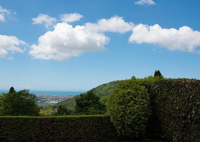 Villa Belvedere Mare E Ulivi By Nicola Real Estate