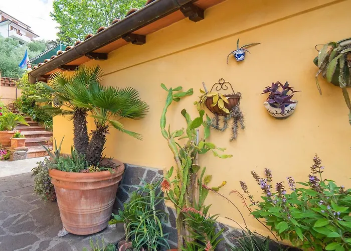 Villa Belvedere Mare E Ulivi By Nicola Real Estate * Massarosa