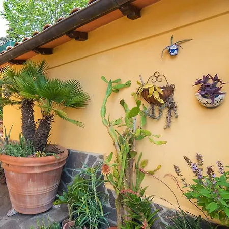 Pace E Relax, Wonderful Villa, Versilia Sea View * Массароза